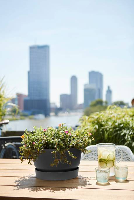 greenville schale 33cm living schwarz